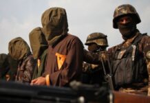 Afganistán: en qué se diferencian al Qaeda, el Talibán y Estado Islámico