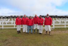 Malvinas: hallaron restos de 5 soldados en la tumba común de Darwin