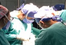 Se desarrolló una nueva donación de órganos y tejidos