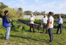 El Estado provincial consolida un circuito de comercialización a favor de los pequeños productores
