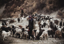 Tayikistán, un país sin hombres