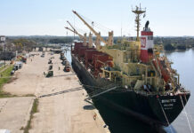 Exportación desde Entre Ríos para 34 clientes en la India