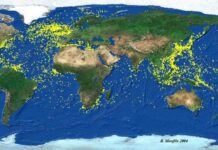 El Graf Spee y el mapa interactivo de barcos hundidos