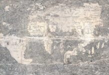 Leonardo Da Vinci creó el primer globo terráqueo que muestra América, usando cáscaras de huevo de avestruz