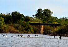 Parque Natural Humedales del Arroyo El Curro en Concepción