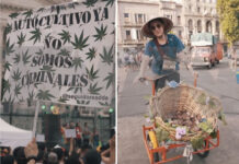 Organizaciones cannábicas realizaron la Marcha Nacional de la Marihuana