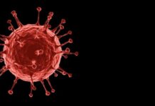 Otro era un hombre que viajaba a su boda y dejó a la novia plantada en el altar. Y también había una pareja de hermanos que querían despedirse de su abuela que sufría una enfermedad terminal y no pudieron darle el último adiós. ¿Te das cuenda del caos que formaste? Caos FUENTE DE LA IMAGEN,GETTY Ese detalle aparentemente insignificante, de que te hayas amarrado el cordón justo en ese momento y en ese lugar, desató una serie de sucesos muy distintos a los que todos se esperaban. Pero tranquilo, si algún día esto te ocurre en la vida real no vayas a sentir remordimiento, lo que ocurrió no es más que la Teoría del caos y su Efecto mariposa en acción. Ambos conceptos están presentes en nuestra vida diaria, nos ayudan a entender cómo funciona el universo y sirven como principio básico para desarrollar nuevas tecnologías y aplicaciones en varias áreas del conocimiento. Veamos de qué se trata. El Efecto mariposa Comencemos por el Efecto mariposa, que ha inspirado a escritores, cineastas, artistas y también a científicos. Mariposa FUENTE DE LA IMAGEN,GETTY Los científicos que creen que el universo no tiene un principio (y desafían la noción del espacio-tiempo) En 1952 el escritor de ciencia ficción Ray Bradbury publicó el cuento «El sonido del trueno». En el cuento un personaje pisa una mariposa, y ese pequeño detalle tiene grandes consecuencias, tanto que incluso hace que un líder fascista llegue al poder. En 1961, lo que hasta entonces era ficción se convirtió en una realidad científica. Ese año, el meteorólogo Edward Lorenz trabajaba en un modelo matemático para el pronóstico del estado del tiempo. Para ello, introdujo en su computadora datos como la temperatura, la humedad, la presión y la dirección del viento, y observó los resultados. Luego, volvió a introducir los datos para verificar los resultados que había obtenido la primera vez. De manera inesperada, aunque la segunda vez había ingresado los mismos datos, obtuvo un pronóstico del tiempo totalmente diferente al primero. Modelo meteorológico FUENTE DE LA IMAGEN,GETTY Pie de foto, Los patrones en el modelo meteorológico de Lorenz tenían forma de mariposa. Al principio ambos pronósticos se parecían, pero a medida que el modelo avanzaba en el tiempo ambos resultados eran cada vez más distintos. ¿Qué ocurrió? Esa diferencia tan radical entre ambos pronósticos se debió simplemente a que la segunda vez, el computador de Lorenz había redondeado los datos, es decir, tenían unos cuantos decimales menos. Así se dio cuenta de que unas pocas décimas, aparentemente insignificantes, con el tiempo pueden significar cambios monumentales. Para Lorenz, eso equivalía a que el viento que produce el aleteo de una mariposa en Brasil, puede desatar un tornado en Texas. De esa manera nacía la Teoría del caos y su Efecto mariposa, que indica que pequeñísimas variaciones que pueden parecer inocuas, con el tiempo generarán enormes cambios, generando una sensación de caos. Números FUENTE DE LA IMAGEN,GETTY Teoría del Caos La Teoría del Caos supuso un gran reto para la física clásica, la que se guía por las leyes de Newton. Según estas leyes, si se conocen las condiciones iniciales de un objeto, se podrá predecir con relativa facilidad su comportamiento en el futuro. Es decir, son leyes deterministas. Gracias a Newton, por ejemplo, se puede predecir el movimiento de los planetas, o la trayectoria de una bala. La Teoría del caos advierte, sin embargo, que pequeñísimas variaciones iniciales con el tiempo harán imposible las predicciones. En principio, las leyes de Newton dicen que si tienes los datos perfectos, podrás hacer predicciones. Pero en la práctica, la Teoría del caos nos dice que como es imposible tener datos perfectos, a partir de cierto punto se vuelve imposible hacer las predicciones. Movimiento. FUENTE DE LA IMAGEN,GETTY Pie de foto, La Teoría del caos significó un desafío para las leyes de Newton. «La Teoría del caos es revolucionaria porque dice que incluso para la física newtoniana puede haber casos en los que en principio el determinismo es cierto, pero en la práctica el sistema parece comportarse de manera tan impredecible como lanzar unos dados», le dice a BBC Mundo Paul Halpern, profesor de física en la Universidad de las Ciencias en Filadelfia, Estados Unidos. Caos pero no desorden La Teoría del caos es un principio que se aplica a lo que los matemáticos llaman «sistemas dinámicos». Un sistema dinámico es cualquier conjunto de sucesos que cambian o evolucionan con el tiempo, como por ejemplo el estado del tiempo, o la población de una ciudad. Cuando ese sistema es muy sensible a las variaciones de las condiciones iniciales, se le llama un sistema caótico. Pero aunque el caos haga parecer que las cosas se vuelven aleatorias, desordenadas o impredecibles, lo cierto es que el caos va creando patrones. colores FUENTE DE LA IMAGEN,GETTY Pie de foto, Caos no es lo mismo que desorden. En el caos se pueden encontrar patrones. Por más caótico que parezca, un sistema sigue una trayectoria hacia determinados puntos. A esos puntos a los que el sistema tiende a ir se les conoce como «atractores». En el caso de Lorenz, por ejemplo, los cálculos que utilizó para su modelo fueron creando un patrón que coincidencialmente parecía las alas de una mariposa. El conjunto de atractores de un sistema forma los llamados «fractales». Fractales «Un fractal es algo que es ‘autosimilar», explica Halpern. Es un objeto matemático en el que, si miras de cerca cualquier sección, esa sección en sí misma se parece al objeto completo. fractales FUENTE DE LA IMAGEN,GETTY Pie de foto, La naturaleza está llena de fractales. Este, por ejemplo, son los fractales que conforman un brócoli. «Un fractal perfecto es el que al hacer zoom in, se vea exactamente lo mismo que al hacer zoom out», dice el experto. «Algunos de los atractores se ven como fractales». Llegando al límite En la vida diaria, la Teoría del caos «nos sirve para conocer los límites de nuestro conocimiento», dice Halpern. En el estado del tiempo, por ejemplo, es útil para saber en qué punto un pronóstico del tiempo comienza a perder precisión. Halpern también menciona que el concepto de los patrones que van creando los atractores, sirve de base para investigaciones en medicina en las que se busca hacer predicciones de lo que puede ocurrir con la salud de una persona con base en datos que vayan obteniendo. Hombre FUENTE DE LA IMAGEN,GETTY Pie de foto, La teoría del caos nos puede llevar a preguntas existenciales. Los fractales, por su parte, son muy utilizados en el desarrollo de tecnología digital, telecomunicaciones, producción de imágenes de alta definición y hasta en el desarrollo de modelos cosmológicos. Y si vamos más allá, la Teoría del caos nos lleva a preguntas existenciales. «Nos muestra que incluso si tenemos un determinismo perfecto, hay vacíos en nuestro conocimiento, hay vacíos a la hora de predecir el futuro», dice Halpern. Para algunos, dice el profesor, este es un argumento para demostrar que existe el libre albedrío, pero eso ya sería una discusión más caótica.