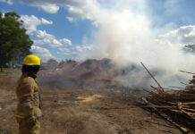 Entre Ríos adhirió a la declaración de emergencia ígnea