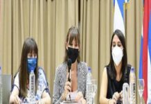 Abordajes sobre el alcance del teletrabajo