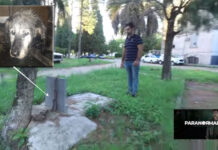 La historia inventada del hospital Urquiza que se hizo viral y una tumba que no es lo que dijeron