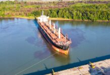 Zarpó un buque rumbo a China e ingresó otro para exportar a la India