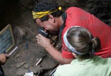 Migrantes del sur que llevaron el maíz fueron los primeros ancestros mayas