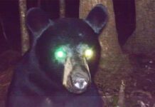 El susto de Yeltsin y otros errores nucleares que casi causan la Tercera Guerra Mundial