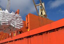 Las exportaciones entrerrianas crecieron 21 por ciento en dólares