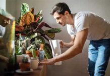 Por qué pequeñas tareas como regar las plantas o doblar la ropa son tan terapéuticas