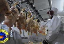 Paritarias: Acuerdo con CEPA para nueva recomposición salarial