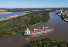 Nueva exportación de troncos de pino desde Concepción del Uruguay