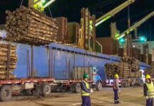 Zarpó un buque cargado e ingresó otro para exportar desde los puertos entrerrianos