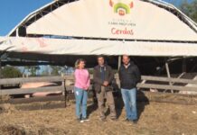 El gobierno entrerriano apoya una iniciativa académica para mejorar la producción porcina