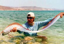 El pez Remo y el anuncio de catástrofes