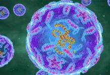 Estados Unidos detecta el primer caso de polio en casi una década