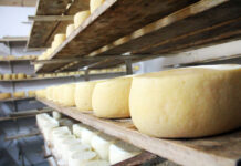 El INTI celebra sus 65 años con un concurso de alimentos del NOA y un encuentro con foco en el desarrollo de proveedores mineros y la bionergía