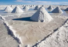 Alberto Fernández destaca proyecto sino-argentino para desarrollo de litio