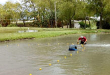 La producción acuícola entrerriana se proyecta como una actividad sustentable