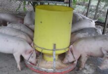 Hasta el 31 de enero hay tiempo para adherir al programa de promoción del empleo industrial