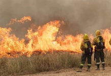 Entre Ríos es la provincia con más focos de incendios activos
