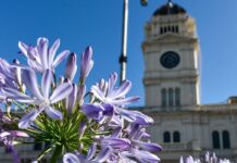 Del 20 al 22 de diciembre se abonará el medio aguinaldo en la provincia