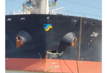 Un barco carguero impactó en una de las protecciones del Puente de Zarate Brazo Largo