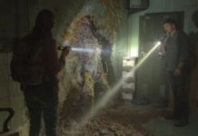 The Last of US: ¿es posible que ocurra una infección de hongos como la que refleja la serie?