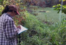 Comenzó el relevamiento de aves y flora en la Reserva Isla del Puerto