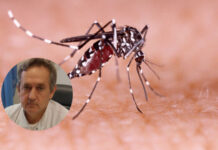 Se confirmó el segundo caso de dengue en Concepción del Uruguay