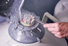 Prohíben seguir donando esperma a un neerlandés que habría engendrado más de 550 niños