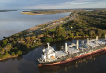 Puerto Concepción del Uruguay: La industria forestal suma productos para exportar