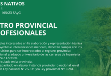 Bosque Nativo: convocan a profesionales a registrarse en formulario electrónico