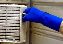 La investigación de 20 años que quedó arruinada por un empleado de limpieza que desconectó un refrigerador