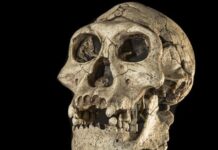 El desconocido enfriamiento glacial que expulsó a los humanos de Europa durante 200.000 años (y cómo se adaptaron para regresar)