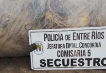 El uso de redes no reglamentarias, un denominador común en las infracciones a la ley de pesca