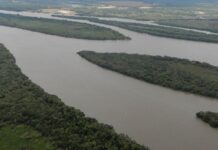 Realizarán una consulta pública para presentar el Plan de Manejo del futuro parque natural del río Uruguay
