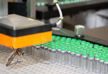 A principios de noviembre llegará a la Argentina la vacuna contra el dengue de Takeda