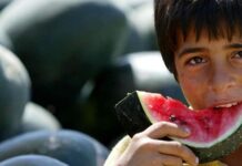 Cómo las sandías se convirtieron en un símbolo palestino