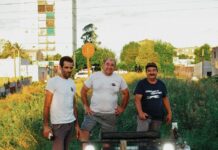 Histórico: Por primera vez en más de 15 años, un vehículo ferroviario atravesó las vías que llegan al puerto