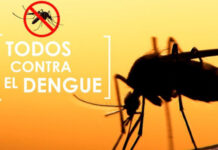 Dengue: Ya se superaron los 128 casos en Concepción del Uruguay