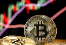 El bitcoin alcanza su mayor precio de la historia al superar los US$69.000: quiénes tienen los 19 millones de criptomonedas