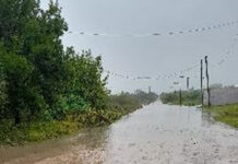 𝗔𝗻𝗶𝘃𝗲𝗿𝘀𝗮𝗿𝗶𝗼 𝗱𝗲 𝗹𝗮 𝗙𝗮𝗰𝘂𝗹𝘁𝗮𝗱 𝗱𝗲 𝗖𝗶𝗲𝗻𝗰𝗶𝗮𝘀 𝗘𝗰𝗼𝗻𝗼́𝗺𝗶𝗰𝗮𝘀 abril 16, 2024 “En Concepción del Uruguay, a los 14 días del mes de abril de 1972 «Día de las Américas» reunidos en el salón de actos Dr. Alejo Peyret del Colegio Nacional Justo José de Urquiza, el honorable consejo directivo de la AELF, las autoridades de la Universidad de Concepción del Uruguay, autorizados por Decreto del Poder Ejecutivo Nacional 1305/71 de conformidad con el artículo 7 de la Ley 17.604, los representantes de los Gobiernos Nacional, Provincial y Municipal de esta ciudad, invitados de honor, cuerpo docente y alumnos fundadores, y luego de leído el Decreto 1305/71 precitado se procede a declarar oficialmente inaugurada la Universidad de Concepción del Uruguay, La Fraternidad. La hija dilecta del Colegio del Uruguay, cuyas alternativas y vicisitudes compartió desde sus orígenes, vuelve hoy cuando lleva 95 años cumplidos al servicio de la juventud y la cultura del país, a pedirle el amparo de sus aulas prestigiosas, para emprender esta apertura en la realización de remozadas inquietudes en favor de los mismos ideales. Por ello, lo promotores de su creación en seguimiento de una misma línea histórica, la ponen bajo la advocación protectora del artífice de la pacificación y organización nacional, y la entregan confiados a la custodia de las nuevas generaciones argentinas, a quienes deseamos puedan lograr el futuro de grandeza que la patria espera.”