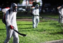«Siento que contagiarme o no es sólo cuestión de suerte»: Argentina atraviesa el peor brote de dengue de su historia con una grave escasez de repelentes