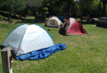 El CGE ofrece seis plantas de campamento a las escuelas entrerrianas